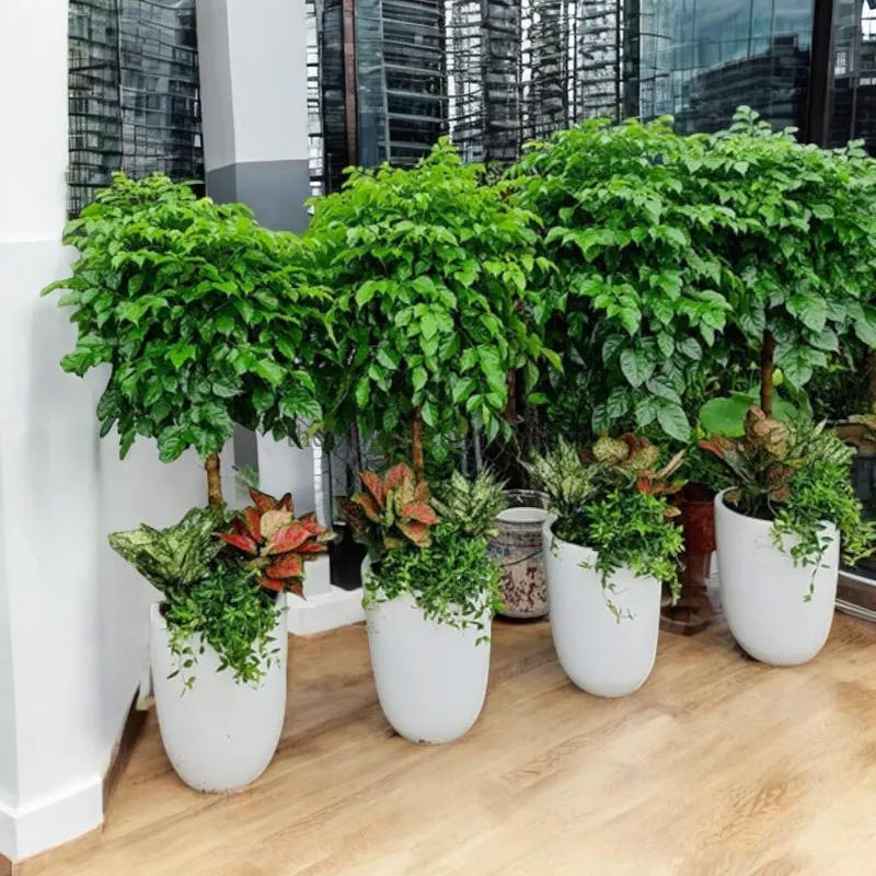 dich-vu-bao-tri-cay-canh