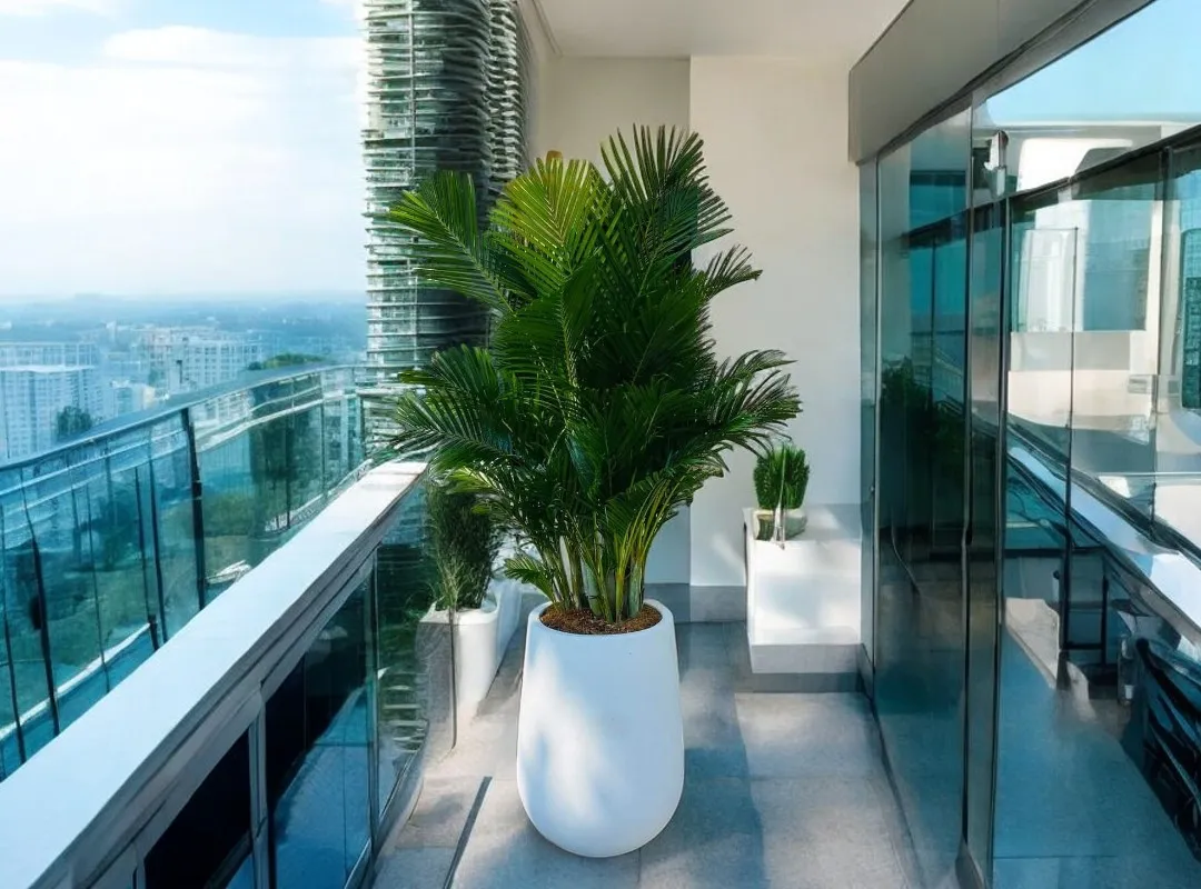 bang-gia-cho-thue-cay-canh