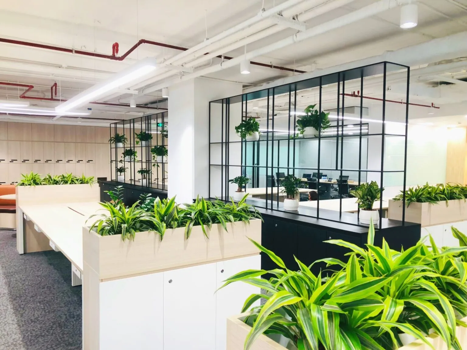 Cho-thue-cay-canh-van-phong-1536x1152